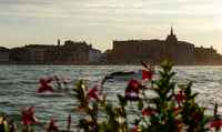 Venice foto